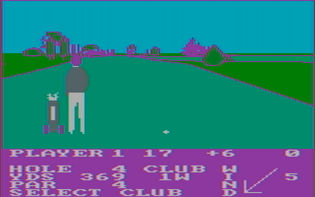 Pro Golf IBM PC/Compatibles Screenshot: Hole 4, in the fairway...
