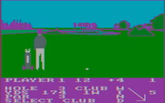 Pro Golf for IBM PC/Compatibles - Lost in the rough...