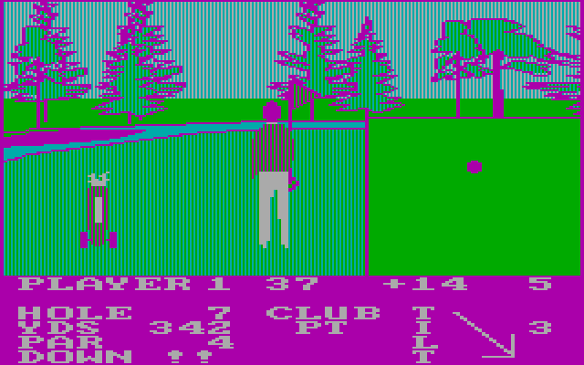 Pro Golf IBM PC/Compatibles Screenshot: And it's in the hole!