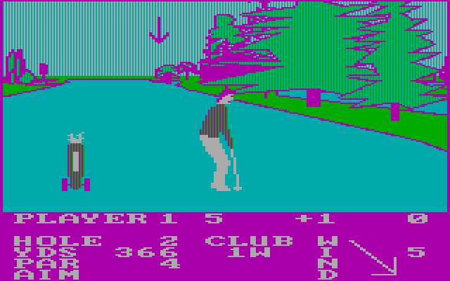 Pro Golf IBM PC/Compatibles Screenshot: The arrow indicates where you're aiming...