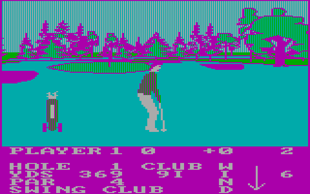 Pro Golf IBM PC/Compatibles Screenshot: Almost at the green...