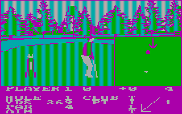 Pro Golf IBM PC/Compatibles Screenshot: When you're close to the hole a closeup view appears...