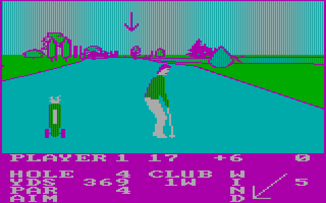 Pro Golf IBM PC/Compatibles Screenshot: Driving on the 4th hole...