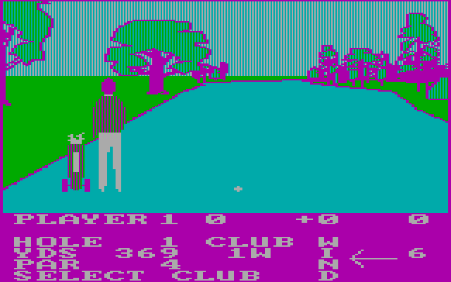 Pro Golf IBM PC/Compatibles Screenshot: Ready for hole 1?