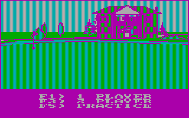 Pro Golf IBM PC/Compatibles Screenshot: The main game menu.
