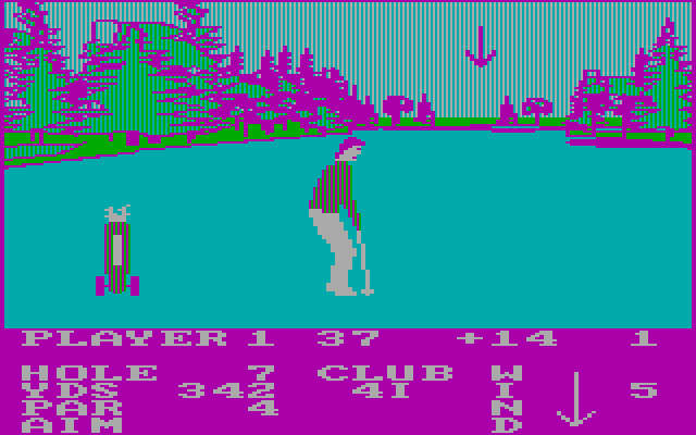 Pro Golf IBM PC/Compatibles Screenshot: Aiming on hole 8...