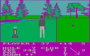 Pro Golf for IBM PC/Compatibles - And it's in the hole!