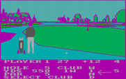 Pro Golf for IBM PC/Compatibles - This should be an easy chip...