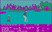 Pro Golf for IBM PC/Compatibles - Almost at the green...