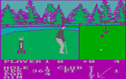 Pro Golf for IBM PC/Compatibles - When you're close to the hole a closeup view appears...