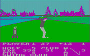 Pro Golf for IBM PC/Compatibles - Stuck in the rough...