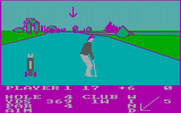 Pro Golf for IBM PC/Compatibles - Driving on the 4th hole...