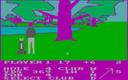 Pro Golf for IBM PC/Compatibles - Now what should I do about this big tree in the way?