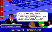 Low Blow for IBM PC/Compatibles - Ready to start the fight?