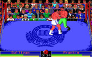 Low Blow for IBM PC/Compatibles - The fight begins...