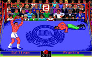 Low Blow for IBM PC/Compatibles - I've been knocked down already...