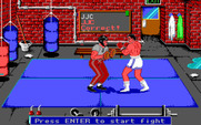 Low Blow for IBM PC/Compatibles - Training in progress...