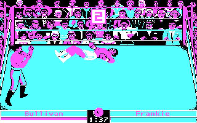 Low Blow IBM PC/Compatibles Screenshot: I'm knocked down!