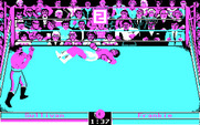 Low Blow for IBM PC/Compatibles - I'm knocked down!