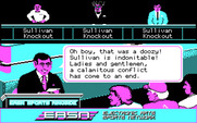 Low Blow for IBM PC/Compatibles - What a fight!