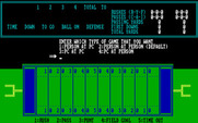 Armchair Quarterback for IBM PC/Compatibles - What type of game do you want to play?