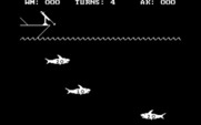 Shark Hunt for IBM PC/Compatibles - Hunting sharks...