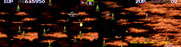 Darius II for Arcade - A plethora of missiles to dodge!