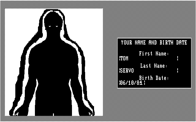 10 Best Fortune Teller IBM PC/Compatibles Screenshot: Enter some information for auras.