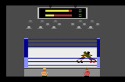 Title Match Pro Wrestling for Atari 2600 - My opponent is pinned!