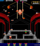 Donkey Kong 3 for Arcade - An insect got me!