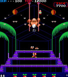Donkey Kong 3 for Arcade - Spray Donkey Kong up to the top...