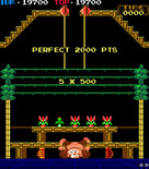 Donkey Kong 3 for Arcade - Level complete!