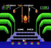 Donkey Kong 3 for NES / Famicom - Game over.