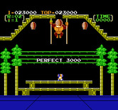 Donkey Kong 3 for NES / Famicom - Perfect! 3000 bonus points.