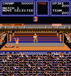Tag Team Wrestling for Arcade - Knocked out of the ring...