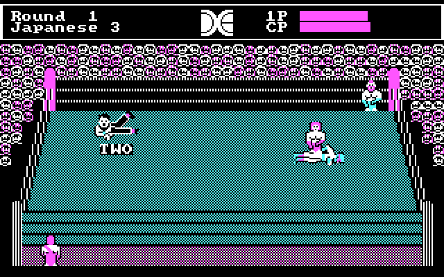 Tag Team Wrestling IBM PC/Compatibles Screenshot: Down for the count...