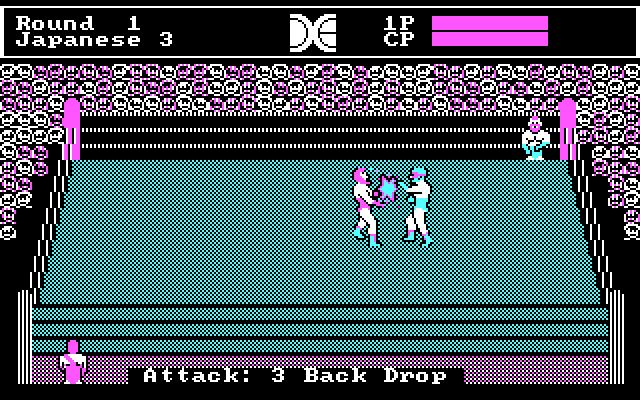 Tag Team Wrestling IBM PC/Compatibles Screenshot: Ouch, a successful attack!