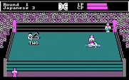 Tag Team Wrestling for IBM PC/Compatibles - Down for the count...