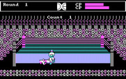Tag Team Wrestling for IBM PC/Compatibles - Fell out of the ring...