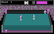 Tag Team Wrestling for IBM PC/Compatibles - Round 1 begins...