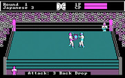 Tag Team Wrestling for IBM PC/Compatibles - Ouch, a successful attack!