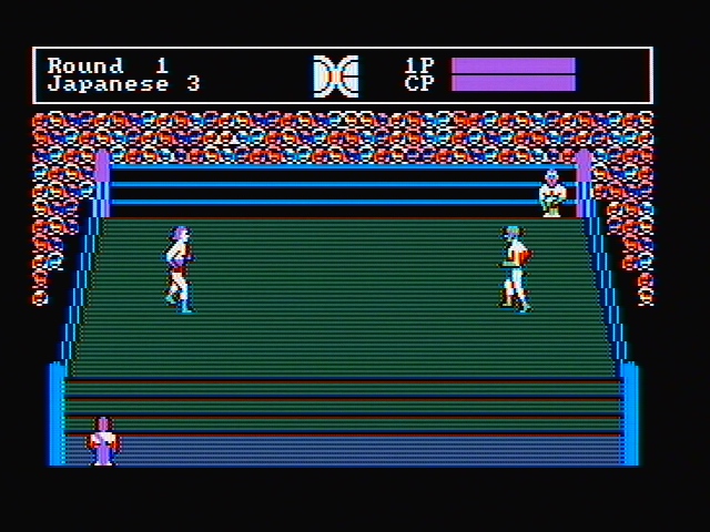 Tag Team Wrestling IBM PC/Compatibles Screenshot: A game begins...