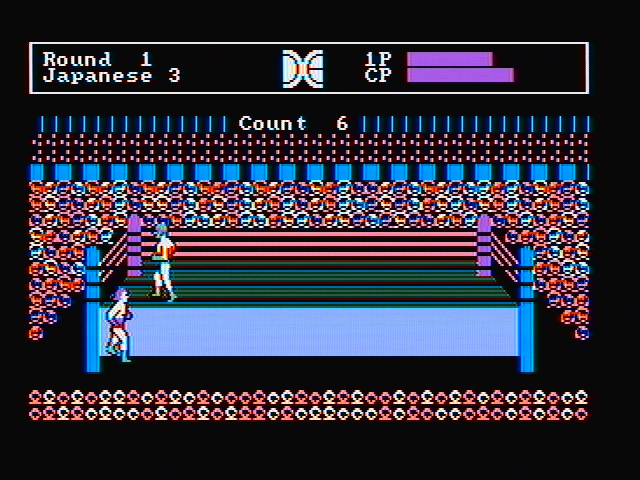 Tag Team Wrestling IBM PC/Compatibles Screenshot: Oops, I've been thrown out of the ring.