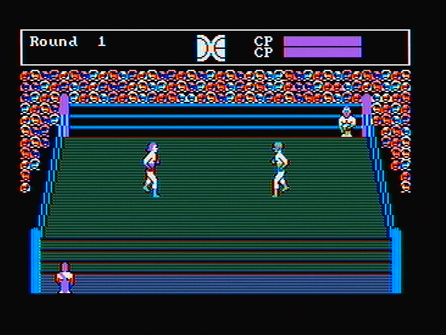 Tag Team Wrestling IBM PC/Compatibles Screenshot: Game demo.