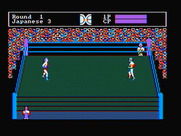 Tag Team Wrestling for IBM PC/Compatibles - A game begins...
