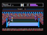 Tag Team Wrestling for IBM PC/Compatibles - Oops, I've been thrown out of the ring.