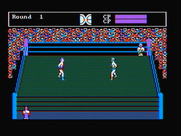 Tag Team Wrestling for IBM PC/Compatibles - Game demo.