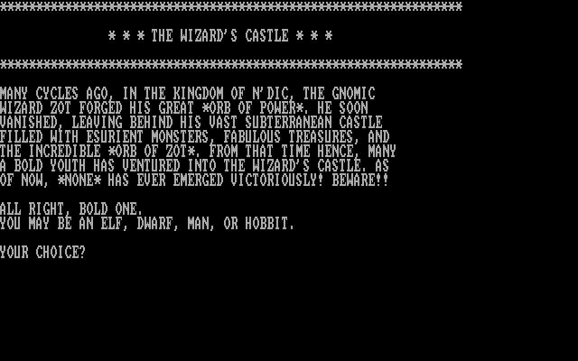 Wizard's Castle, The IBM PC/Compatibles Screenshot: The start of the game.
