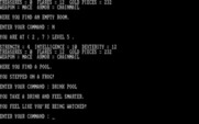Wizard's Castle, The for IBM PC/Compatibles - Taking a drink from a pool.