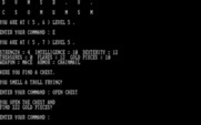 Wizard's Castle, The for IBM PC/Compatibles - Found some gold in a chest; lucky!